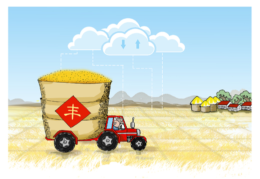 &ldquo;中原糧倉&rdquo;麥?zhǔn)招掠^察