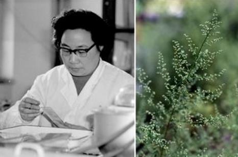 3000萬病例歸零&mdash;&mdash;中國獲世衛(wèi)組織&ldquo;無瘧疾國家&rdquo;認證 全球抗瘧形勢依然嚴峻