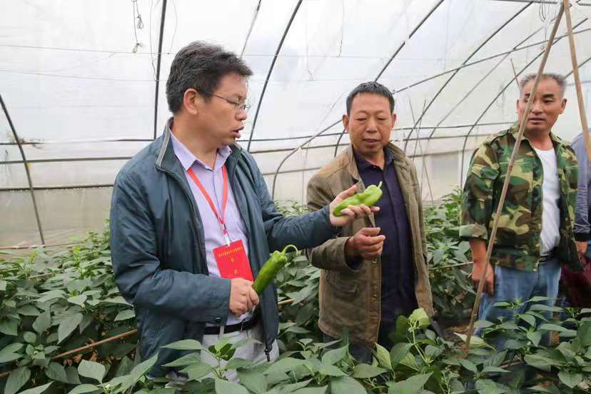 &ldquo;組團式&rdquo;招賢納士 重慶打開鄉(xiāng)村振興引才新通道