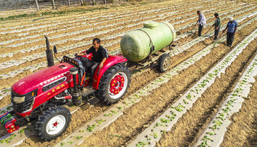 撂荒地長出&ldquo;萬元田&rdquo;