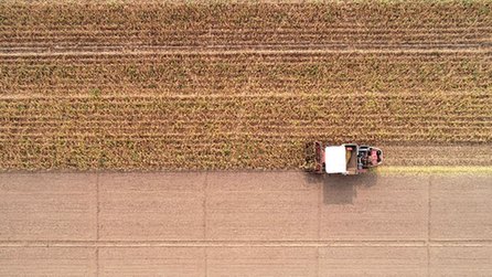 山城重慶&ldquo;巴掌田&rdquo;里的&ldquo;穩(wěn)糧經(jīng)&rdquo;