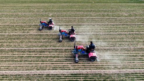 小麥管得怎樣？種子有無保障？農(nóng)機夠用嗎？