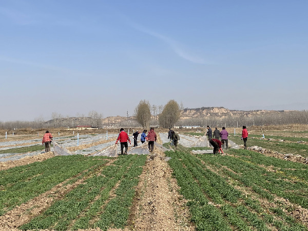 農(nóng)業(yè)保險高質(zhì)量發(fā)展尚需突破&ldquo;三重門&rdquo;