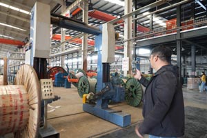 盯緊&ldquo;灰犀牛&rdquo;　預(yù)防&ldquo;黑天鵝&rdquo;