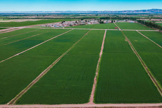 內(nèi)蒙古五原：綠色發(fā)展助力產(chǎn)業(yè)跑出&ldquo;加速度&rdquo;