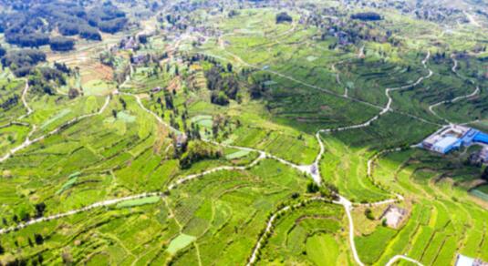 貴州省石阡縣：&ldquo;三力&rdquo;齊發(fā) 激活村級集體經(jīng)濟&ldquo;動力源&rdquo;