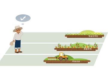 套補貼、無運作&ldquo;空殼合作社&rdquo;頻現(xiàn)