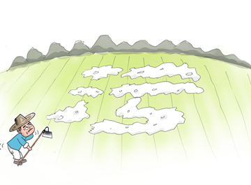 &ldquo;白色污染&rdquo;治理業(yè)內(nèi)人士提出新思路