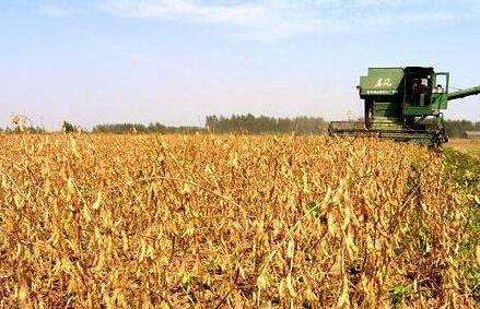 &ldquo;擴(kuò)面提產(chǎn)增效&rdquo;　國產(chǎn)大豆迎振興