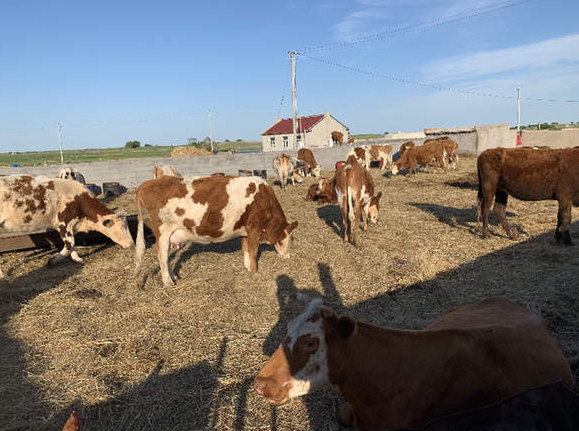 &ldquo;新調(diào)整&rdquo;能否終結(jié)自然保護(hù)區(qū)亂象？