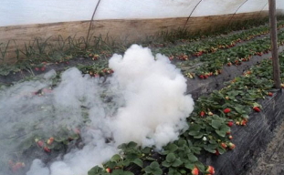 沿用近50年的傳統(tǒng)引火線(xiàn)咋就突然成了爆炸物？