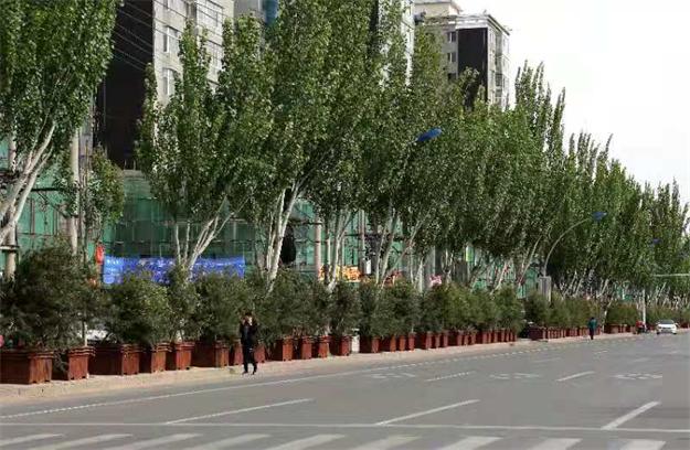 地方&ldquo;拍腦門&rdquo;造綠欠下巨債　 企業(yè)墊資種樹(shù)被拖垮